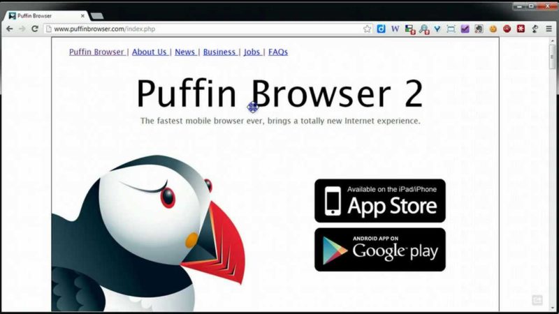 Puffin web browser